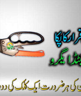 Small Garden Scissor (114)