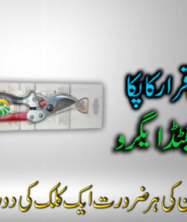 IMPORTED FLOWER CUTTER (097)