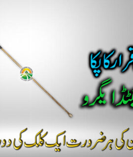 Brass Lance PIR (429)