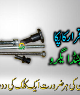 ENGIN SCREW SET (462)