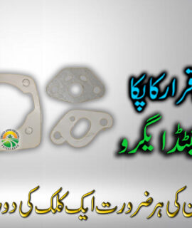 ENGIN JAIN KIT 2 STROKE (461)