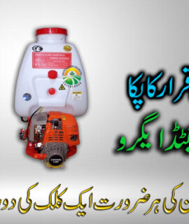 Agriculture Knapsack Power Sprayer WX-767 (534)