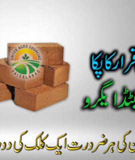 Coco Peat Blocks (590)