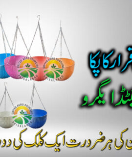 Tokri Gamla Special (123)