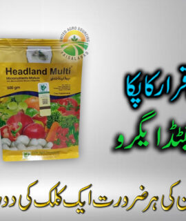 Headland Multi (026)