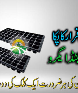 Seed Tray 50 Holes (598)