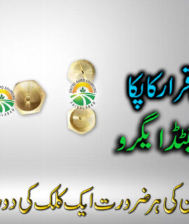 Flat Jet Brass (292)