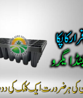 Seed Tray 72 Holes Deep (599)