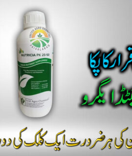 Nutricia Pk 00 25 50 (038)