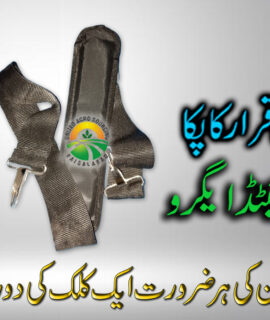 Brush Cutter Belt (430)