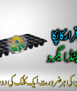 Seed Tray 32 Holes (597)