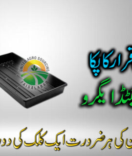 Seed Tray Hydroponics (600)