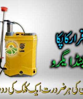 Lion 2in1Machine (562)