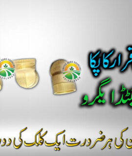 Bend Brass Nozzle (272)