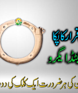 Engine Back Cover 139 (463)