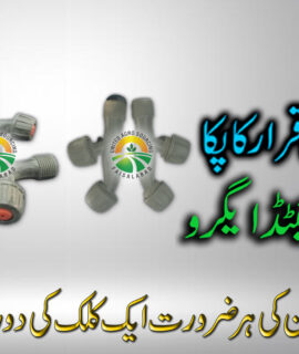 Double Nozzle Sprayer (277)