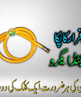 Pipe Engine Sprayer (502)