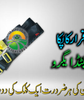 Belt Sprayer Machine (424)