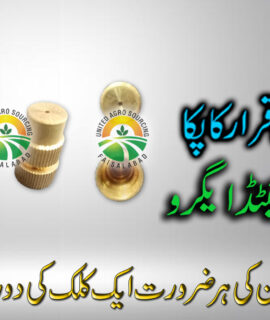 Bage Nozzle Brass (267)