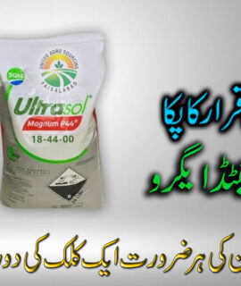 Ultra Sol Mangnum (048)