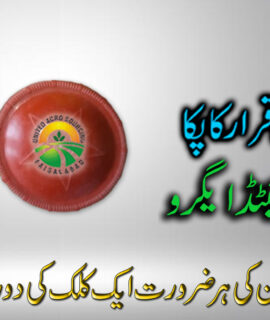 Sprayer Machine Cap (523)