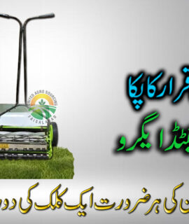 Manual Grass Cutting Machine (238)