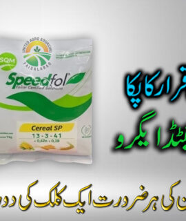 Speedfol (044)