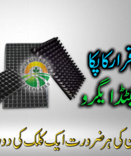 Seed Tray 128 Holes (595)