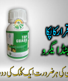 Top Guard 30 SC (064)