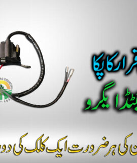 Quail 4 Stroke (507)