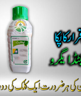 Locate Suncrop (601)