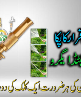 Brass Nozzle Washer (332)