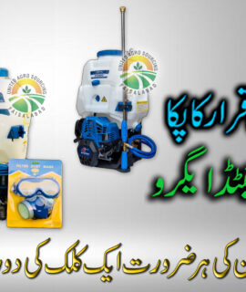 Hyundai Power Sprayer 4 Stroke (560)