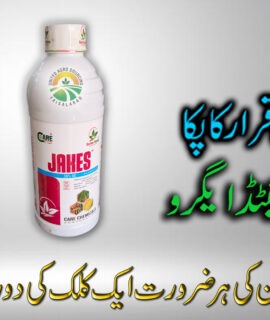 Jakes 1 Litre (628)