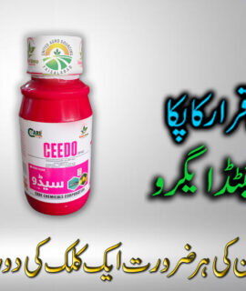 Ceedo 200ml (629)