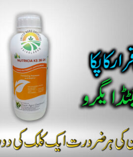 Nutricia 3624 (1 Liter) (612)