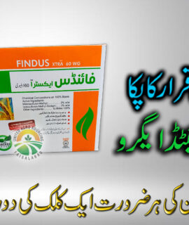 Findus Xtra 60 WG (136)