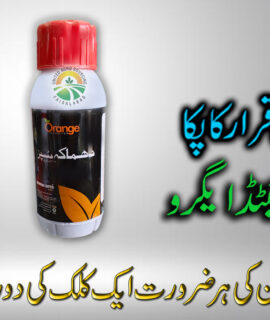 Dhamaka Super 400 Ml (605)