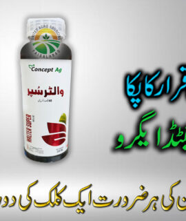 Walter Super 48% SC (163)