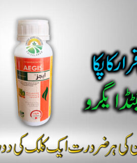 Aegis 400 ML (608)
