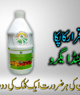 Altum K 2 Litre (620)