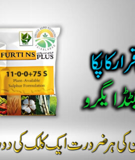 Furti Ns Plus 10kg 11 0 0 + 75s (618)