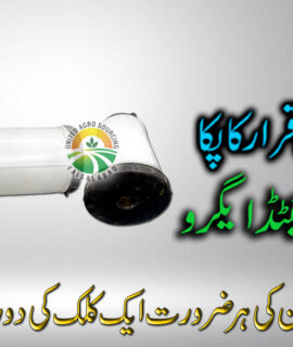 Fruit Fly Trap (659)