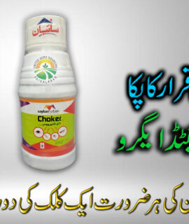 Choker 250ML (651)