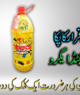 Dragon Phenyle (634)