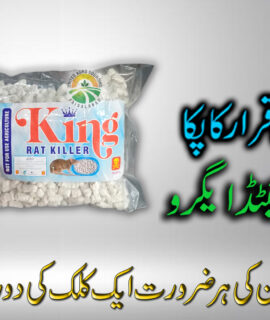 King Rat Killer (649)