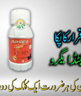 Ranger Chlor 100ML (655)