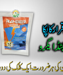 Ranger Vigilant Guard 15% (656)