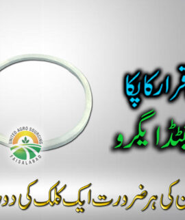 Jain Engine Cap (692)