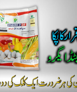 Spaboro 21DF Crop Supplement (641)